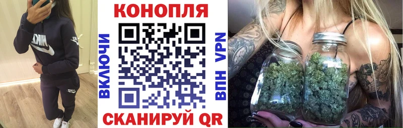 Псилоцибиновые грибы Бор