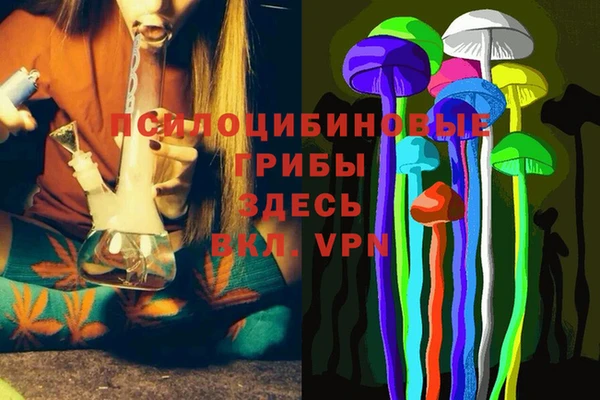 стафф Горняк