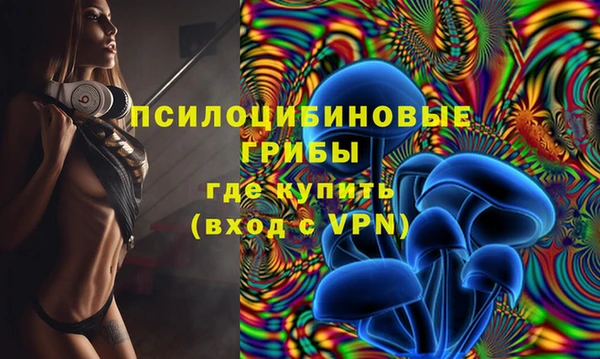 стафф Горняк