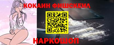 индика Гусев