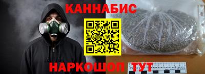 индика Гусев