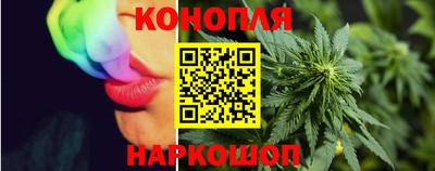 индика Гусев