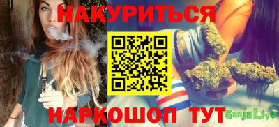 индика Гусев