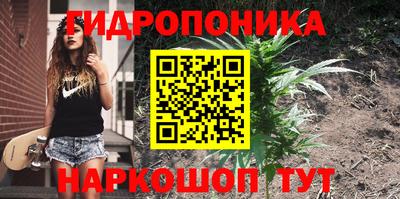 apvp Гусиноозёрск