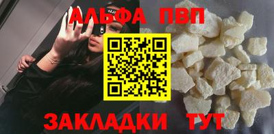 индика Гусев