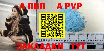 индика Гусев