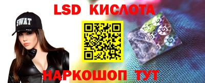 индика Гусев