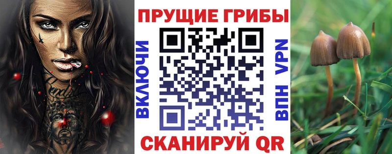 Псилоцибиновые грибы Psilocybine cubensis  Бор 