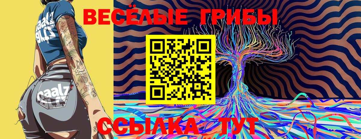 хочу   Вход с VPN  Бор  Псилоцибиновые грибы мицелий 