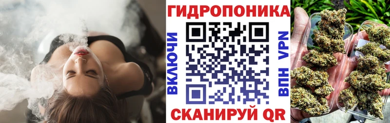 блэк спрут зеркало  что такое наркотик  Бор  Шишки марихуана SATIVA & INDICA 